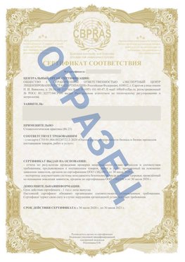 Образец Сертификат СТО 01.064.00220722.2-2020 Юрюзань Сертификат СТО 01.064.00220722.2-2020 